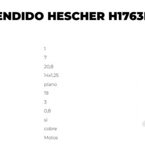 BUJIA HESCHER CHISPA ROSCA LARGA = N9YC